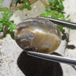 Cat's Eye Opal طبيعي بلون بني فاتح، وزن ‎12.43‎ قيراط، شكل بيضاوى، مقاس ‎16.7x13.7‎ مم