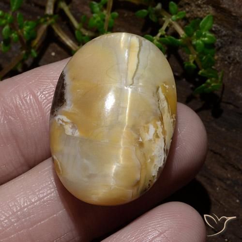 31.48ct طبيعي متعدد الألوان أوبال عين القط, بيضوي, غير شفاف