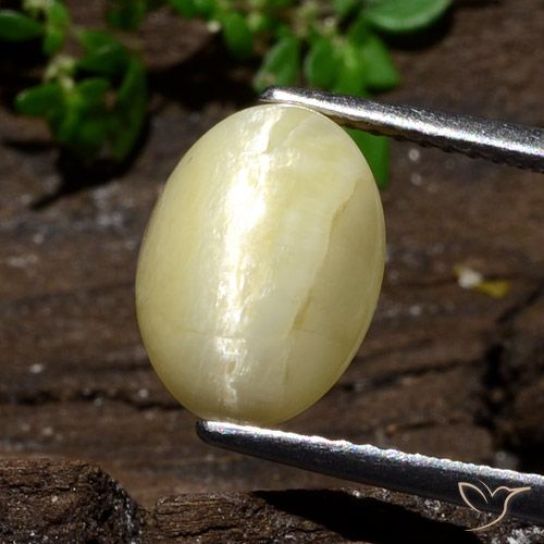 3.68ct طبيعي أبيض داكن فاتح أوبال عين القط, بيضوي, غير شفاف