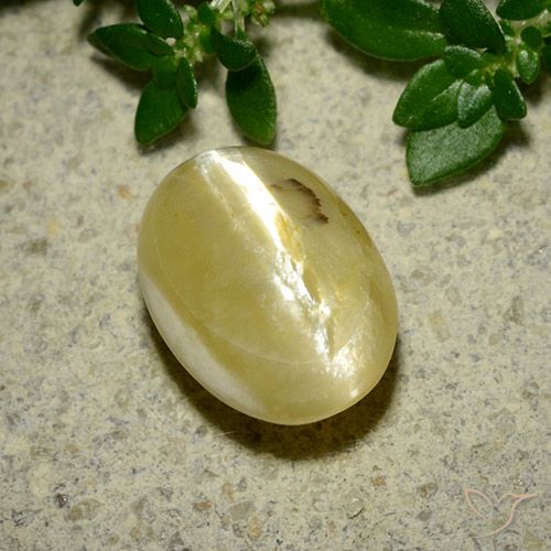 3.65ct طبيعي أصفر كريمى أوبال عين القط, بيضوي, غير شفاف