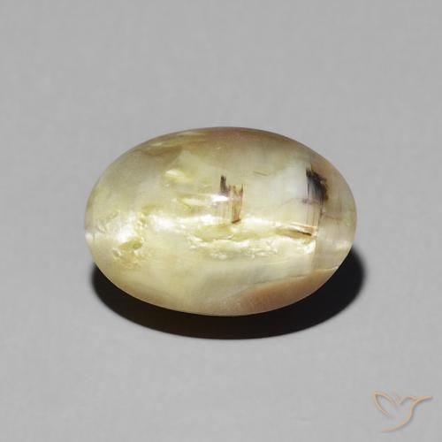 2.72ct طبيعي بني ذهبي أوبال عين القط, بيضوي, نصف شفاف