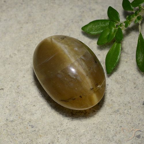 4.65ct طبيعي بني ذهبي أوبال عين القط, بيضوي, نصف شفاف