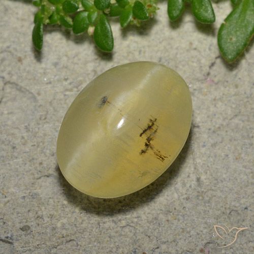 4.16ct طبيعي أصفر فاتح أوبال عين القط, بيضوي, نصف شفاف
