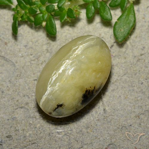 4.81ct طبيعي أصفر موزى أوبال عين القط, بيضوي, غير شفاف
