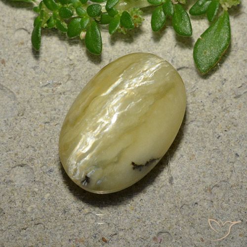 5.04ct طبيعي أصفر موزى أوبال عين القط, بيضوي, غير شفاف