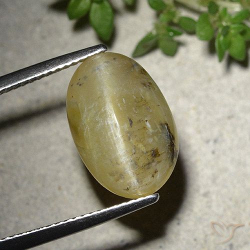 7.86ct طبيعي أصفر متوسط أوبال عين القط, بيضوي, نصف شفاف