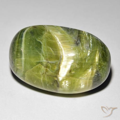 16.99ct طبيعي أخضر مصفر أوبال عين القط, بيضوي, غير شفاف