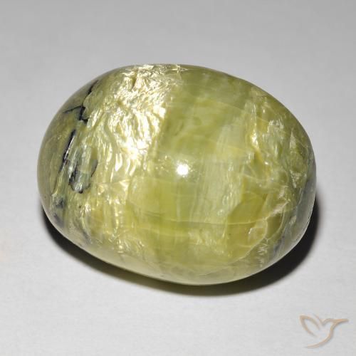 14.90ct طبيعي أخضر دافئ أوبال عين القط, بيضوي, غير شفاف