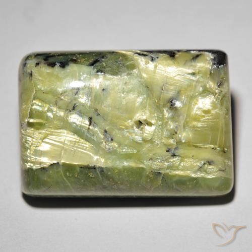 31.09ct طبيعي أخضر دافئ أوبال عين القط, باجيت, غير شفاف