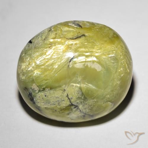 18.56ct طبيعي أخضر دافئ أوبال عين القط, بيضوي, غير شفاف