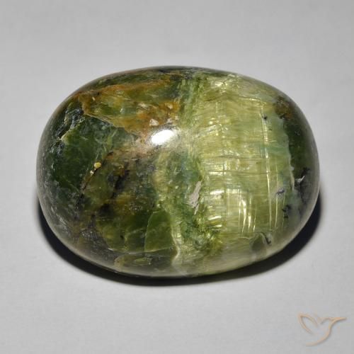 18.89ct طبيعي أخضر ترابى أوبال عين القط, بيضوي, غير شفاف