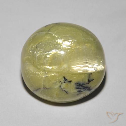 7.23ct طبيعي أخضر دافئ أوبال عين القط, بيضوي, غير شفاف