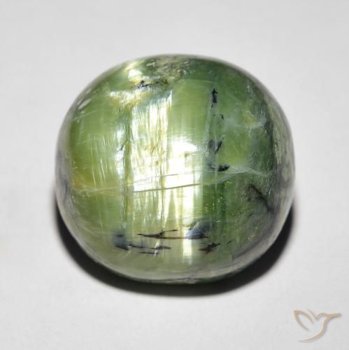 9.37ct طبيعي أخضر دافئ أوبال عين القط, بيضوي, غير شفاف