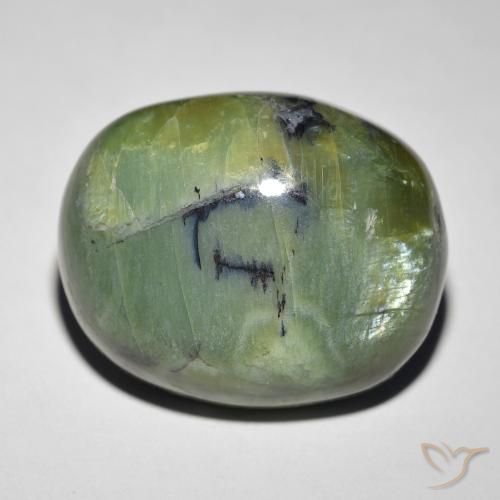 18.89ct طبيعي أخضر ترابى أوبال عين القط, بيضوي, غير شفاف