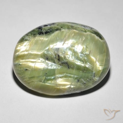 14.58ct طبيعي أخضر مصفر أوبال عين القط, بيضوي, غير شفاف