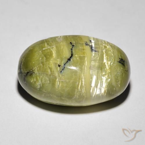 8.46ct طبيعي أخضر ترابى أوبال عين القط, بيضوي, غير شفاف