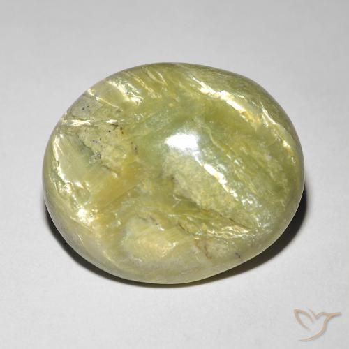 9.84ct طبيعي أخضر الغابة دافئ أوبال عين القط, بيضوي, غير شفاف