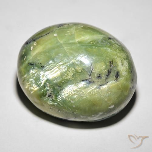 27.05ct طبيعي أخضر مصفر أوبال عين القط, بيضوي, غير شفاف