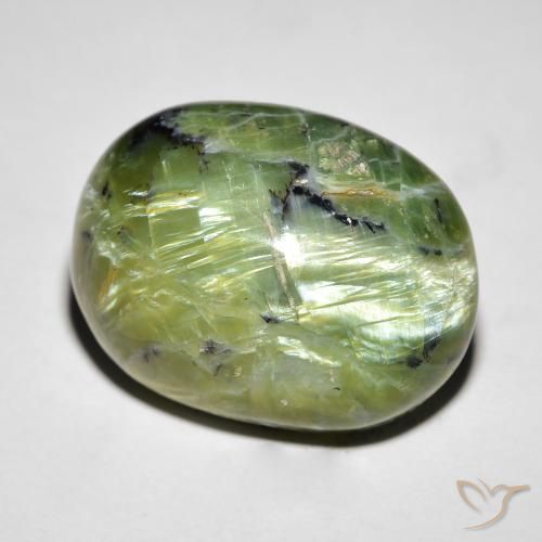 14.55ct طبيعي أخضر متوسط أوبال عين القط, بيضوي, غير شفاف