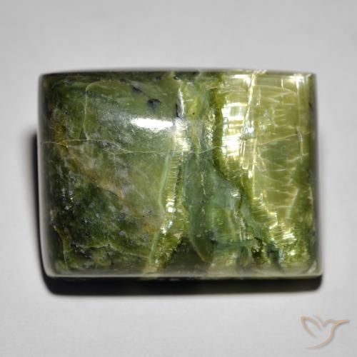25.23ct طبيعي أخضر ترابى أوبال عين القط, باجيت, غير شفاف