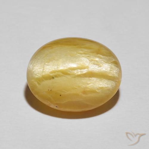 8.78ct طبيعي أصفر متوسط أوبال عين القط, بيضوي, غير شفاف