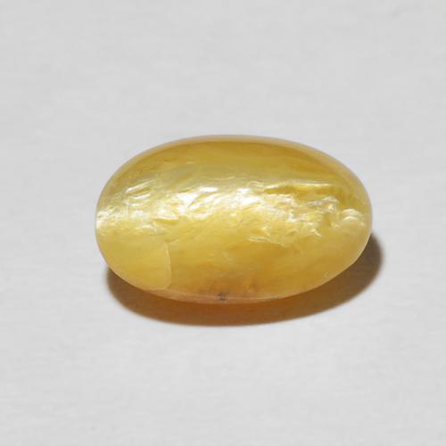 2.61ct طبيعي برتقالى ذهبة أوبال عين القط, بيضوي, غير شفاف