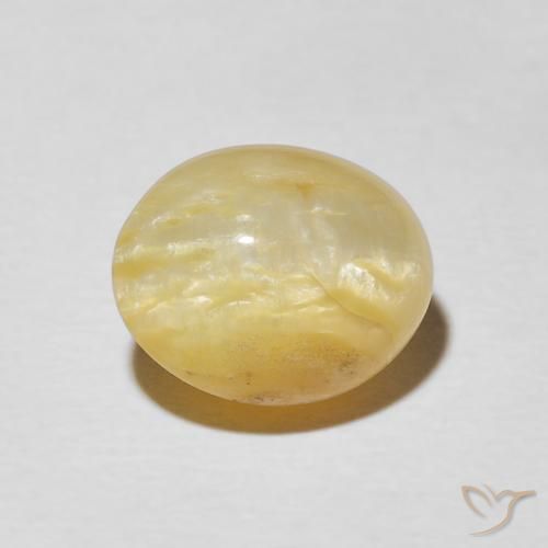 3.43ct طبيعي أصفر متوسط أوبال عين القط, بيضوي, غير شفاف