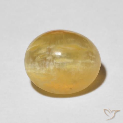 3.37ct طبيعي ذهبى متوسط أوبال عين القط, بيضوي, غير شفاف