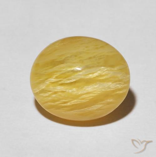 6.32ct طبيعي أصفر القضيب الذهبى أوبال عين القط, بيضوي, غير شفاف