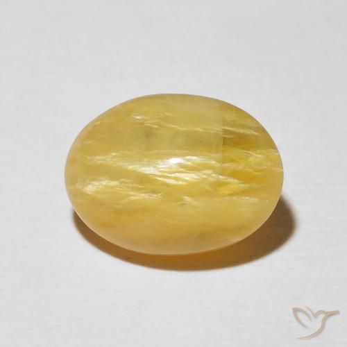 4.36ct طبيعي ذهبى متوسط أوبال عين القط, بيضوي, غير شفاف