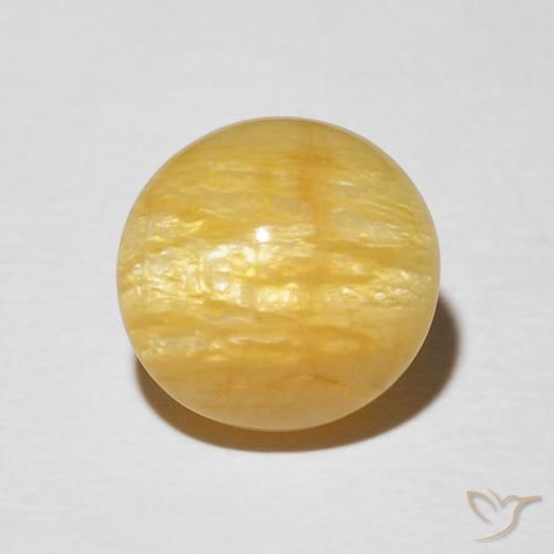 4.42ct طبيعي ذهبى متوسط أوبال عين القط, بيضوي, غير شفاف