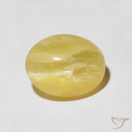 2.65ct طبيعي أصفر-ذهبى أوبال عين القط, بيضوي, غير شفاف