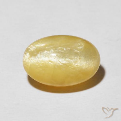 6.04ct طبيعي ذهبى متوسط أوبال عين القط, بيضوي, غير شفاف