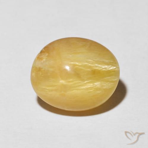 5.55ct طبيعي ذهبى متوسط أوبال عين القط, بيضوي, غير شفاف