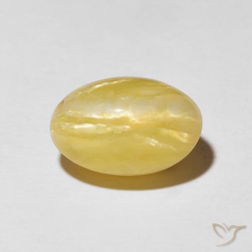 5.44ct طبيعي أصفر توسكانا أوبال عين القط, بيضوي, غير شفاف