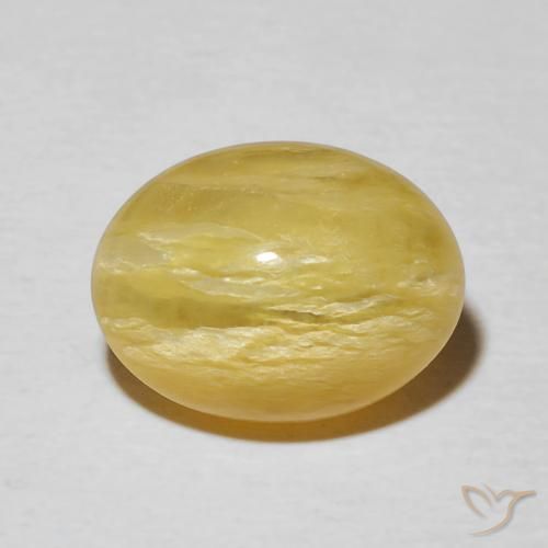4.31ct طبيعي أصفر القضيب الذهبى أوبال عين القط, بيضوي, غير شفاف