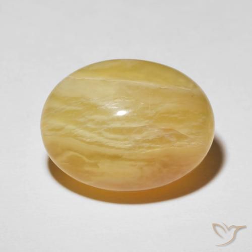 20.55ct طبيعي أصفر متوسط أوبال عين القط, بيضوي, غير شفاف