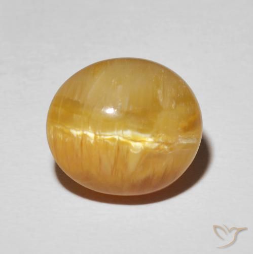 7.94ct طبيعي بني ذهبي أوبال عين القط, بيضوي, غير شفاف
