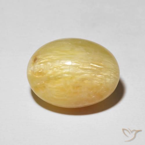 14.38ct طبيعي أصفر القضيب الذهبى أوبال عين القط, بيضوي, غير شفاف
