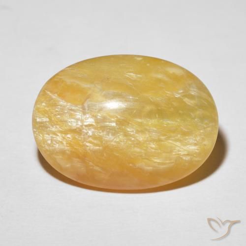19.78ct طبيعي ذهبى متوسط أوبال عين القط, بيضوي, غير شفاف