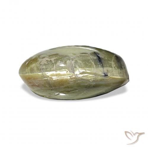 3.02ct أخضر مصفر أوبال عين القط, بيضوي, غير شفاف