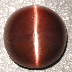 Cat's Eye Scapolite طبيعي بلون بني داكن، وزن ‎4.26‎ قيراط، شكل بيضاوى، مقاس ‎10.3x10.2‎ مم