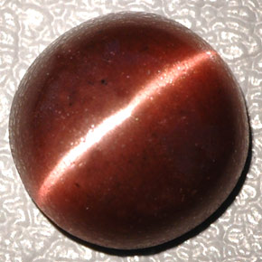 Cat's Eye Scapolite طبيعي بلون بني داكن، وزن ‎4.26‎ قيراط، شكل بيضاوى، مقاس ‎10.3x10.2‎ مم