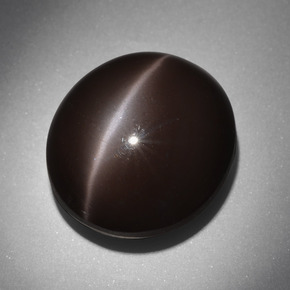 Cat's Eye Scapolite طبيعي بلون بني داكن، وزن ‎24.01‎ قيراط، شكل بيضاوى، مقاس ‎18x16.2‎ مم