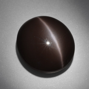 Cat's Eye Scapolite طبيعي بلون بني داكن، وزن ‎24.01‎ قيراط، شكل بيضاوى، مقاس ‎18x16.2‎ مم