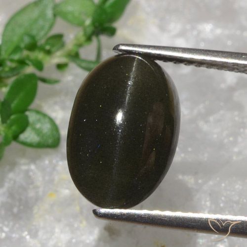 سكاتوليت عين القط بنى مسود طبيعي، قصة بيضاوى، 6.38 قيراط، نصف شفاف