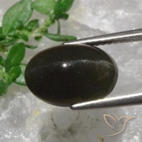 سكاتوليت عين القط بنى مسود طبيعي، قصة بيضاوى، 6.38 قيراط، نصف شفاف