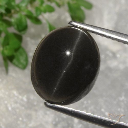 5.07ct طبيعي بني غامق سكاتوليت عين القط, بيضوي, نصف شفاف