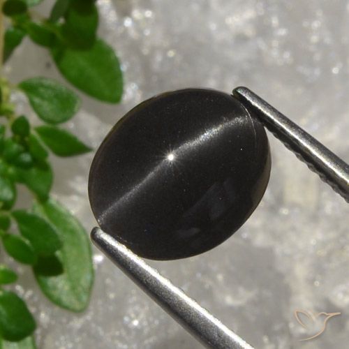 3.20ct طبيعي بنى شيكولاتى داكن سكاتوليت عين القط, بيضوي, نصف شفاف