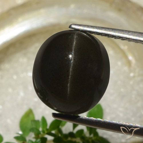 5.83ct طبيعي أسود سكاتوليت عين القط, بيضوي, نصف شفاف